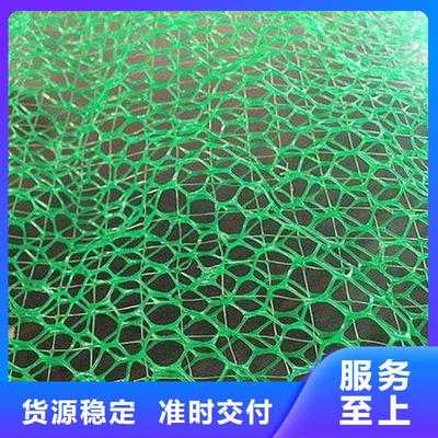 绿化EM3三维土工网垫 边坡生态防护的优选材料